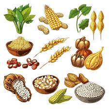2026 - Baz� Tar�m �r�nlerinin �hracat ve �thalat�nda Ticari Kalite Denetiminde Yeni D�nem
