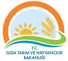 Gida, Tarim ve Hayvancilik Bakanligi Kontrolne Tabi Belirli rnlerin Girisine Yetkili Gmrk Idareleri ile Resmi Kontrollerini Yapmaya Yetkili Il Gida, Tarim ve Hayvancilik Mdrlklerinin Belirlenmesine Dair Tebligde Degisiklik Yapilmasina Dair Teblig