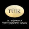 TIK ile Gmrk ve Ticaret Bakanligi isbirligiyle olusturulan 2012 yili Nisan ayina iliskin geici dis ticaret verileri aiklandi.